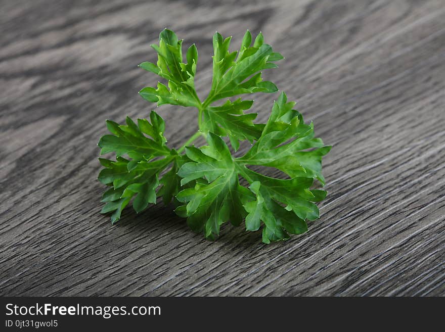 Parsley leaves