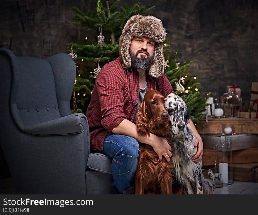 Bearded middle age male dressed in a plaid shirt and fur hat and two Irish setter dogs with fir tree and Christmas decoration on background. Bearded middle age male dressed in a plaid shirt and fur hat and two Irish setter dogs with fir tree and Christmas decoration on background.