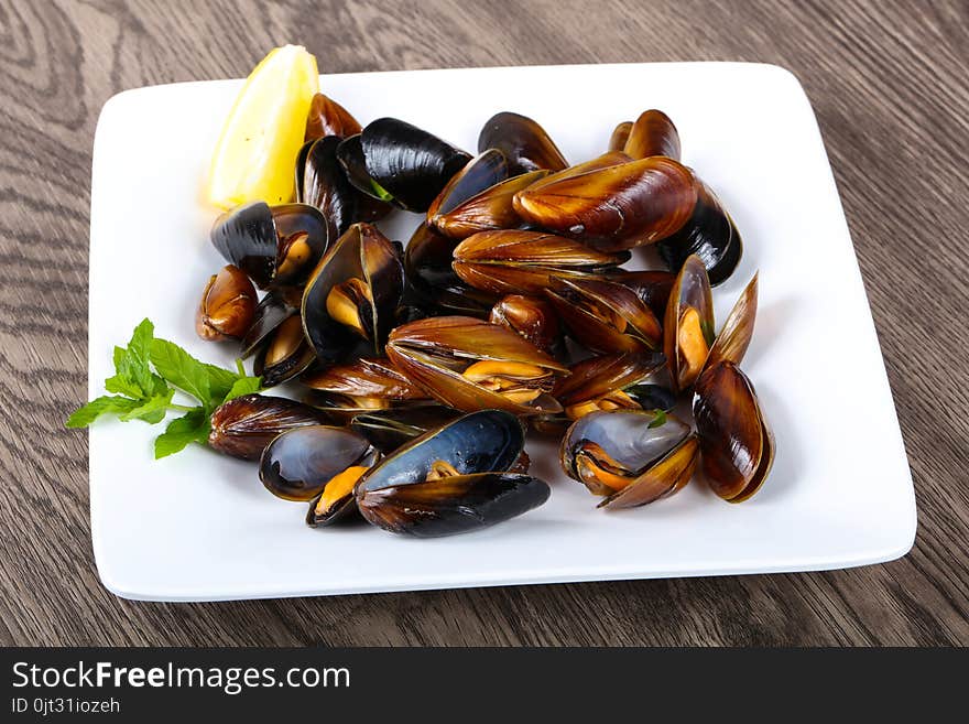 Boiled Mussels