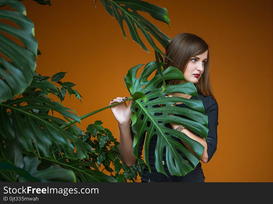 Pretty girl holding by hand stalk of palm on brown background