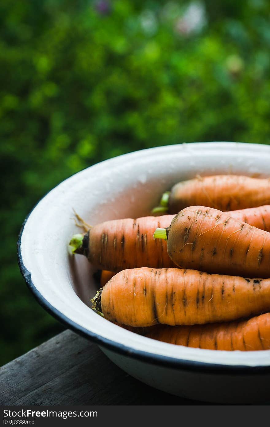 Raw carrots in the bowl