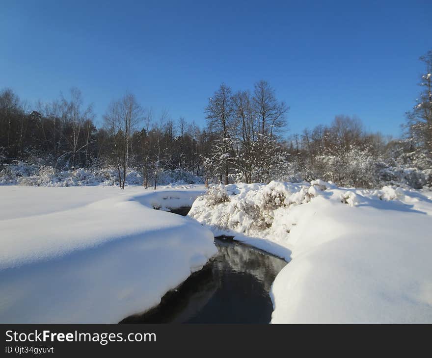 View of the river, trees and bushes in winter clear day. View of the river, trees and bushes in winter clear day.