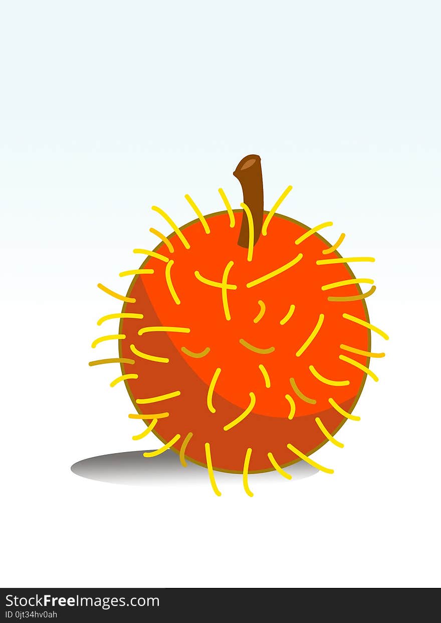 Rambutan fruit cartoon