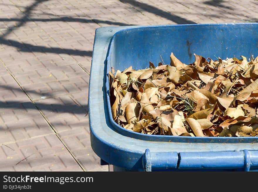 Dry leaves on plastic bin