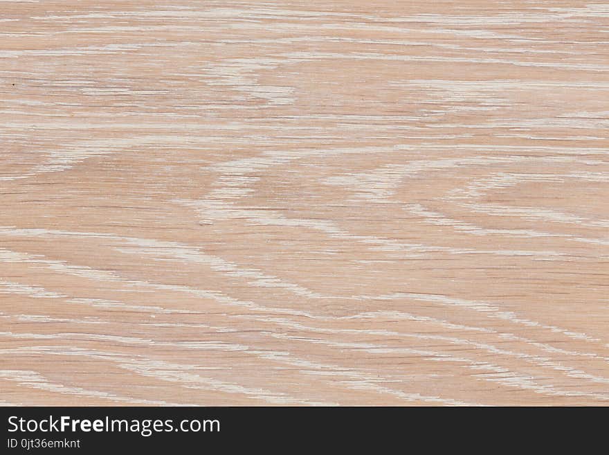 Real natural wood texture and surface background.