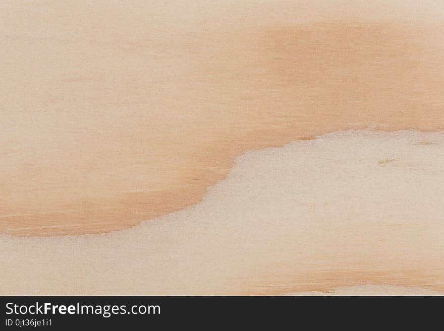 Texture of pine wood plank, high detailed. Hi res photo.