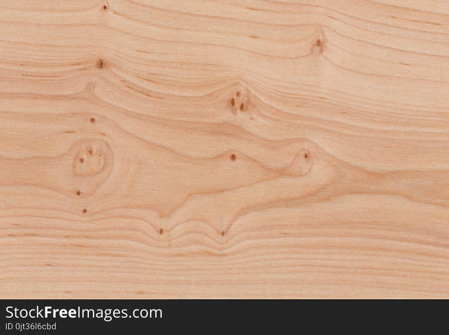 Wooden surface with bright texture. Pine pattern.