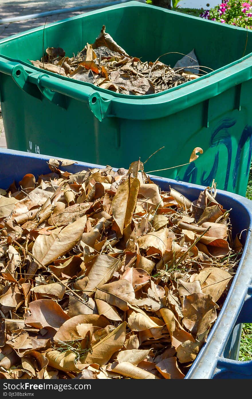 Dry leaf on plastic bin