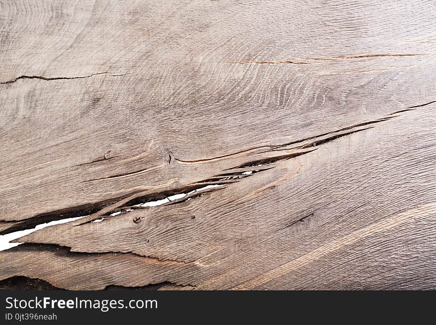 Cracked wood on white.