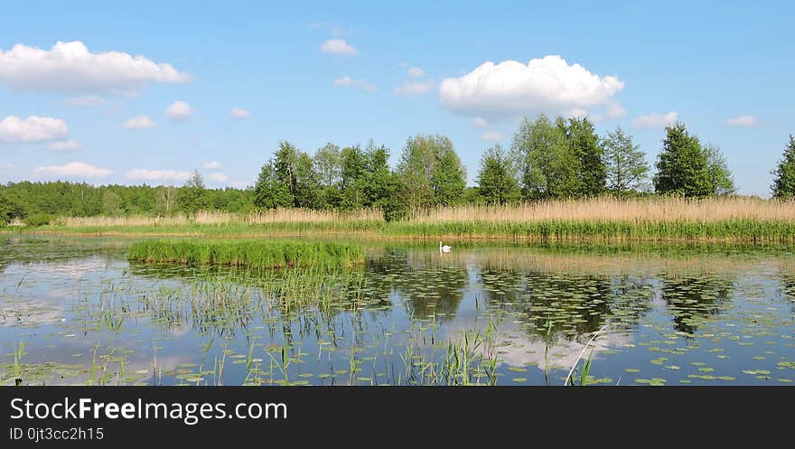 Chanel, Plants And Cloudy Sky, Lithuania