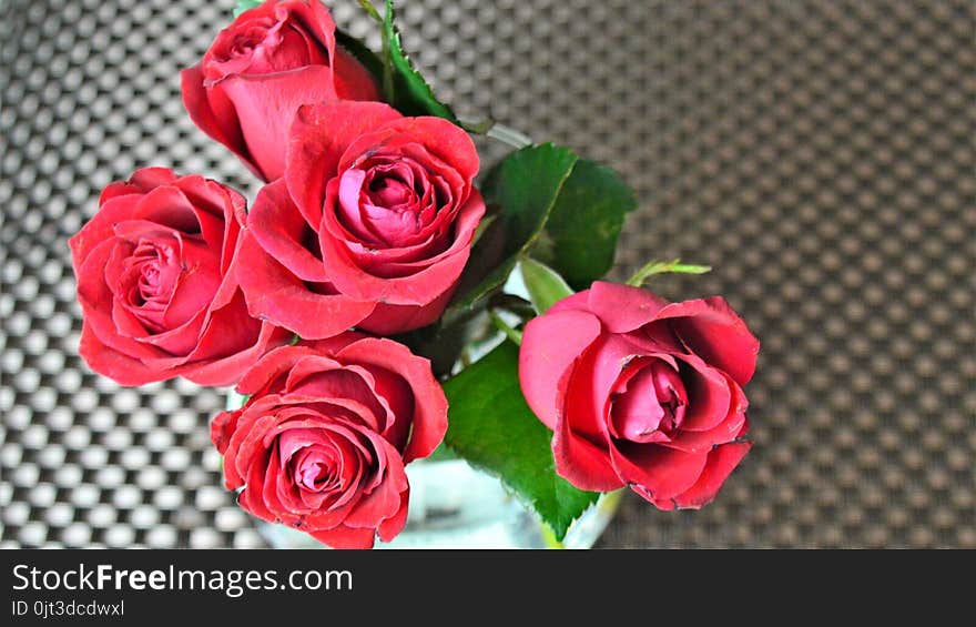 Red Roses In A Vase Of Transparent Glass