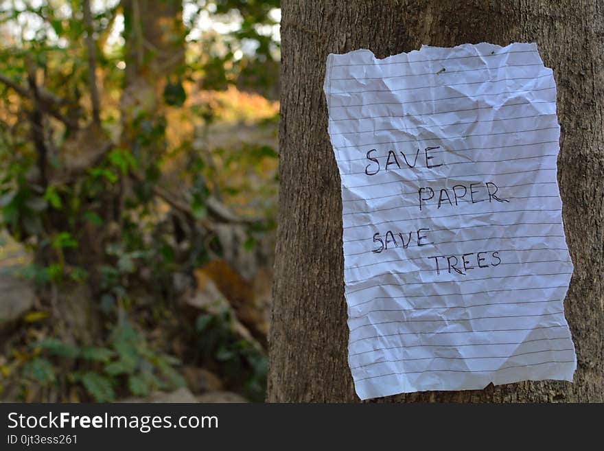 This image consists of save paper save trees note hanging on a tree