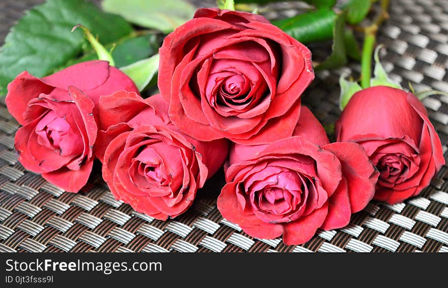 Five red roses on a braided basis