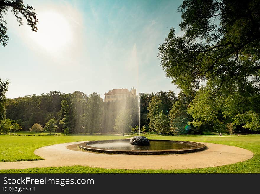 Royal Park Stromovka Královská Obora Stromovka in Prague, Czech Republic