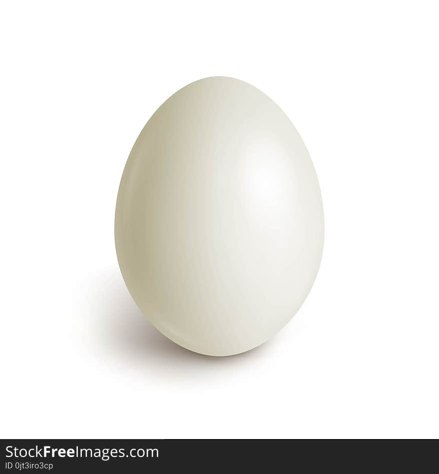 Chicken egg realistic. White egg isolated on white. Template for Easter holida. Vector illustration. Chicken egg realistic. White egg isolated on white. Template for Easter holida. Vector illustration