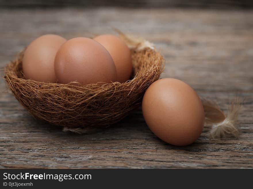 Still life-Eggs on nest arranged in a rustick scene, Egg is beneficial to the body, Food concept.