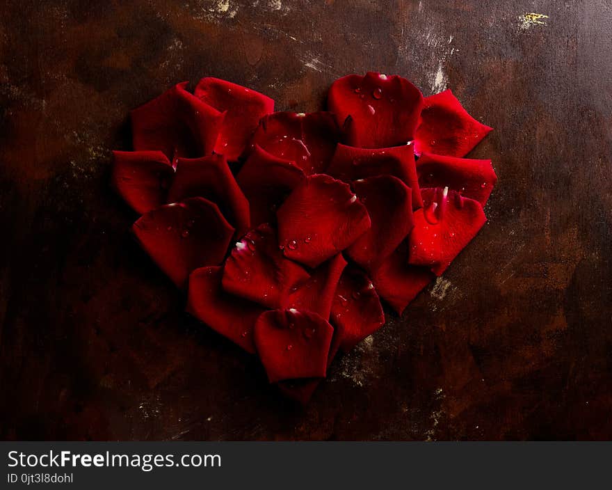 Top view flat lay red rose petals in heart shape on dark background. Romance, passion concept. Valentines day. Text space