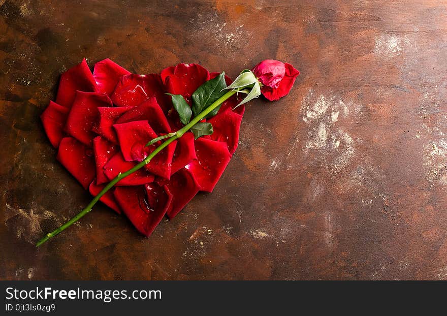 Top view flat lay red rose petals in heart shape on dark background. Romance, passion concept. Valentines day. Text space