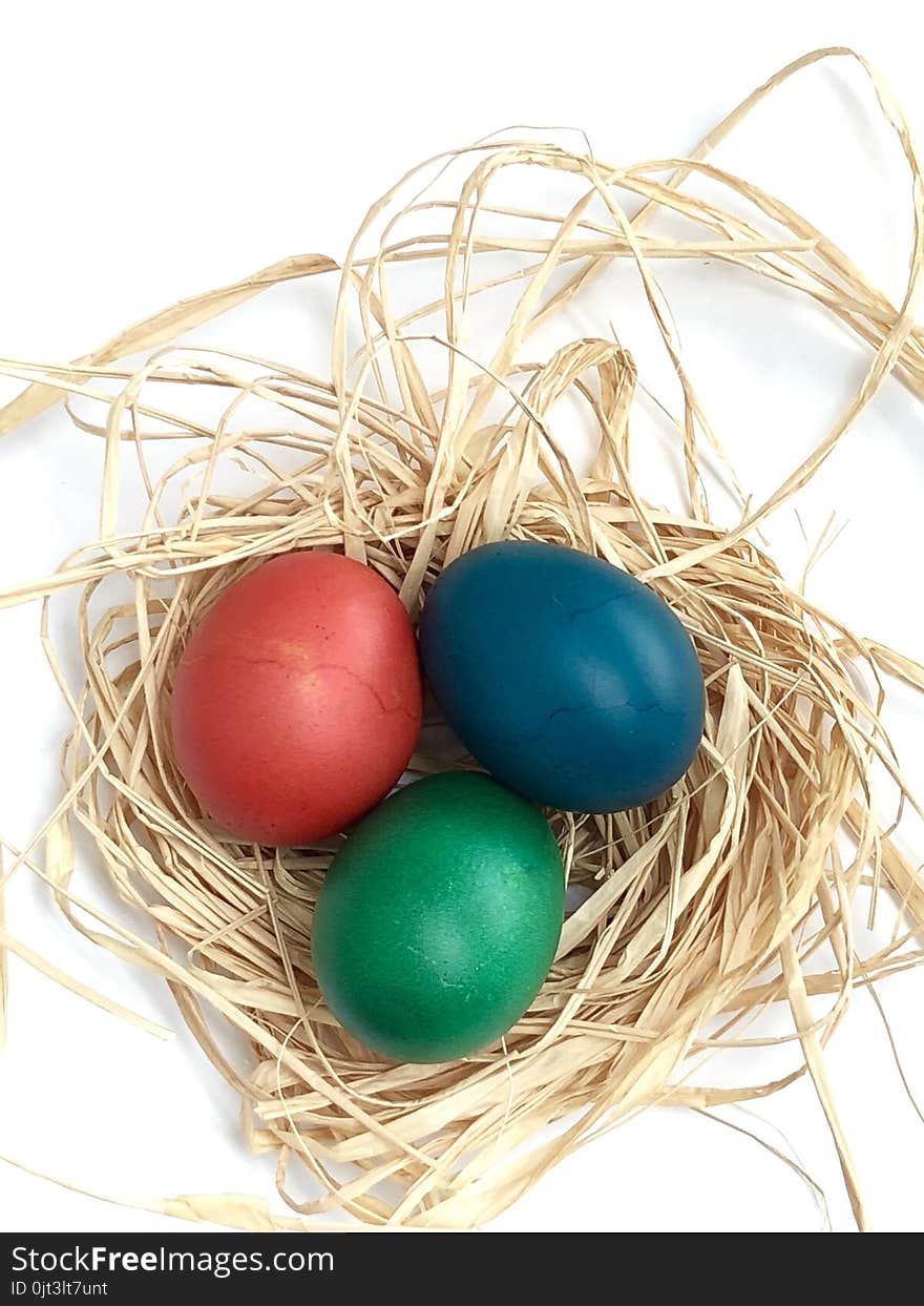 Easter eggs in a nest and with white background. Easter eggs in a nest and with white background