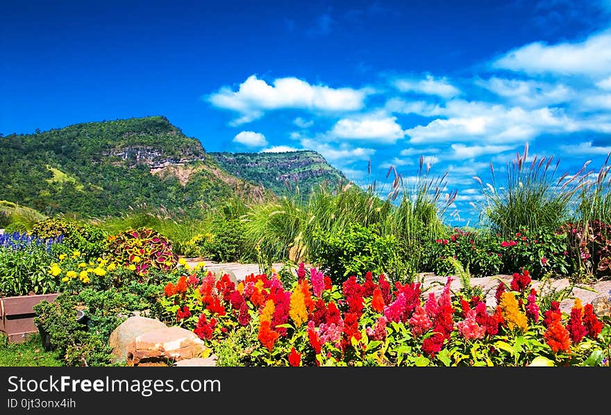 Beautiful mountain landscape with white cloud blue sky