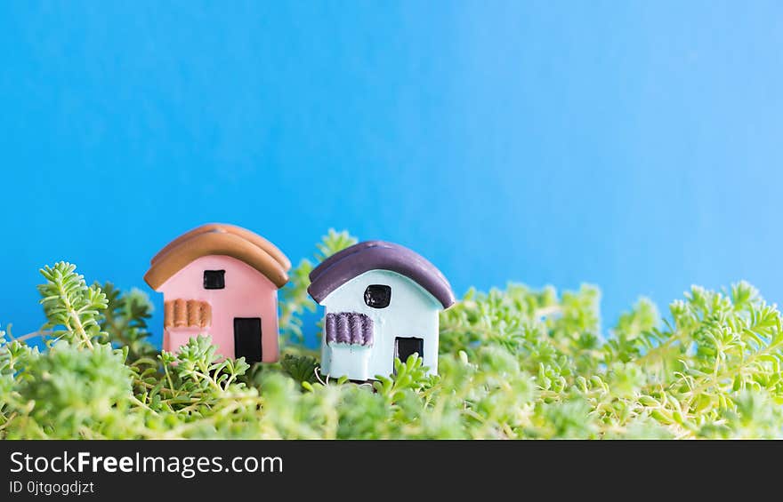 Two toy houses on the grass on a blue background. The concept of building a new home. Selective focus.