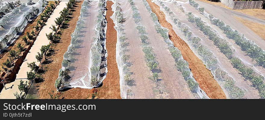 A vineyard covered in bird nets outside the modern `Cube` at D`Arenberg Estate winery in South Australia iconic McLaren Vale. A vineyard covered in bird nets outside the modern `Cube` at D`Arenberg Estate winery in South Australia iconic McLaren Vale.