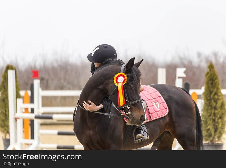 Girl hugging a horse after winning a prize for a show jumping competition. Girl hugging a horse after winning a prize for a show jumping competition.