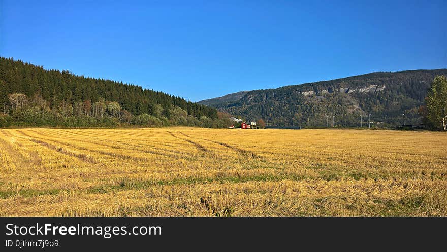 Landscape Photography of Green Fields