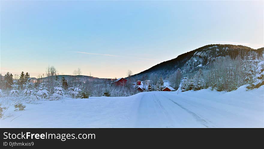 Mountains With Snow and Trees at Daytime