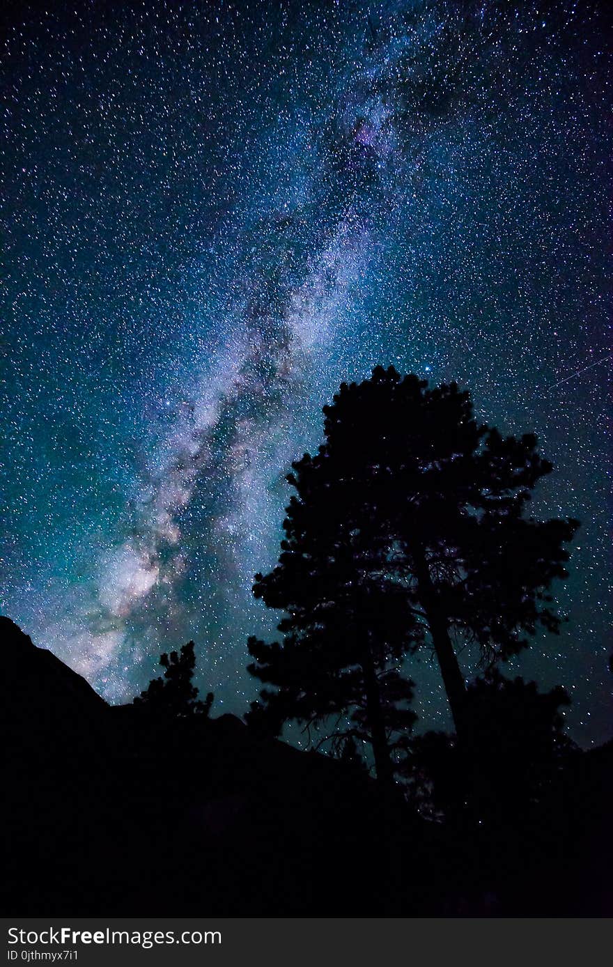 Low-angle Photograph of Stars