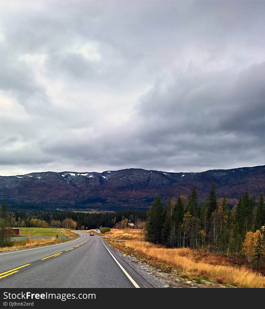 Gray Asphalt Road With Trees Under Cloudy Sky