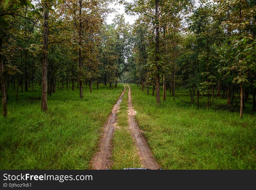 Photography of Road