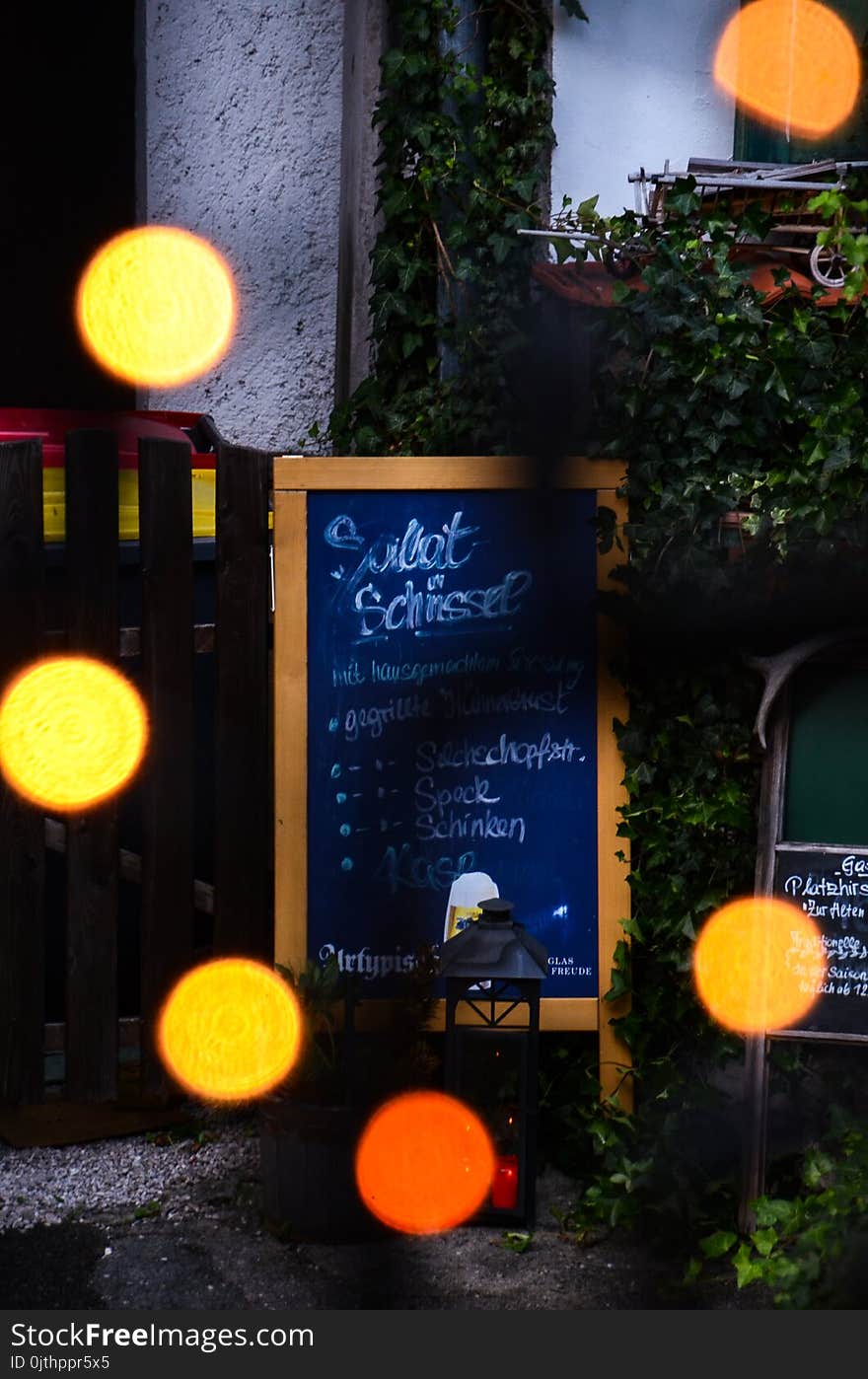 Blue Chalkboard With Brown Wooden Frame Beside Green Plants