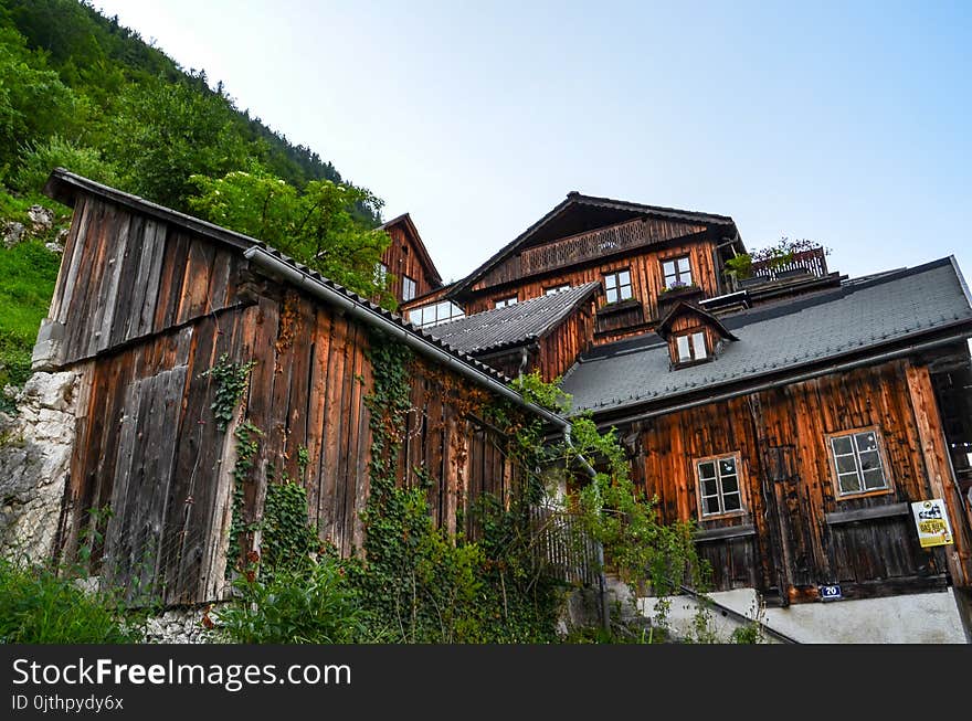 Brown Wooden House Near Mountain With Green Leaf Trees