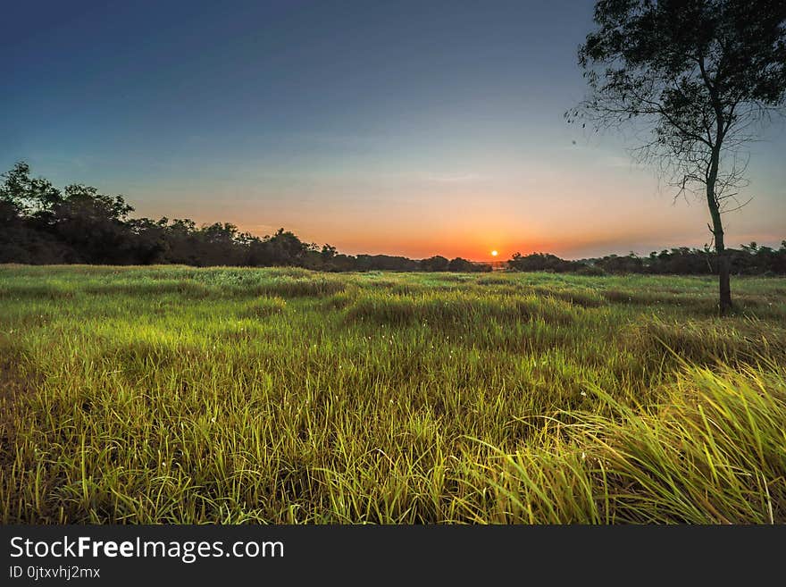 Landscape Photography Of Green Grass Field During Golden Hour