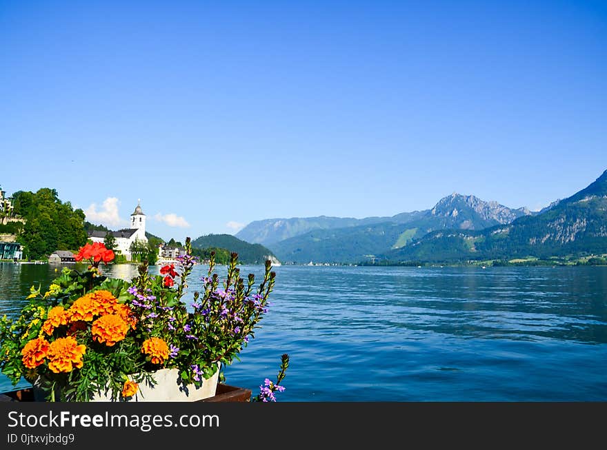 Orange And Red Flowers In Front Of Body Of Water