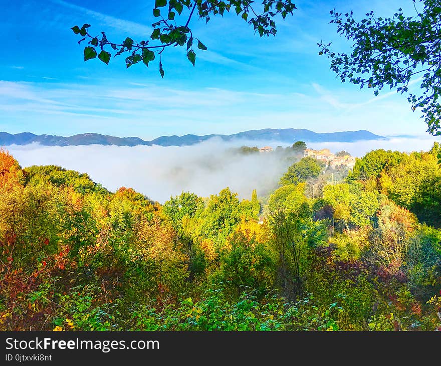 Green Trees And Clouds