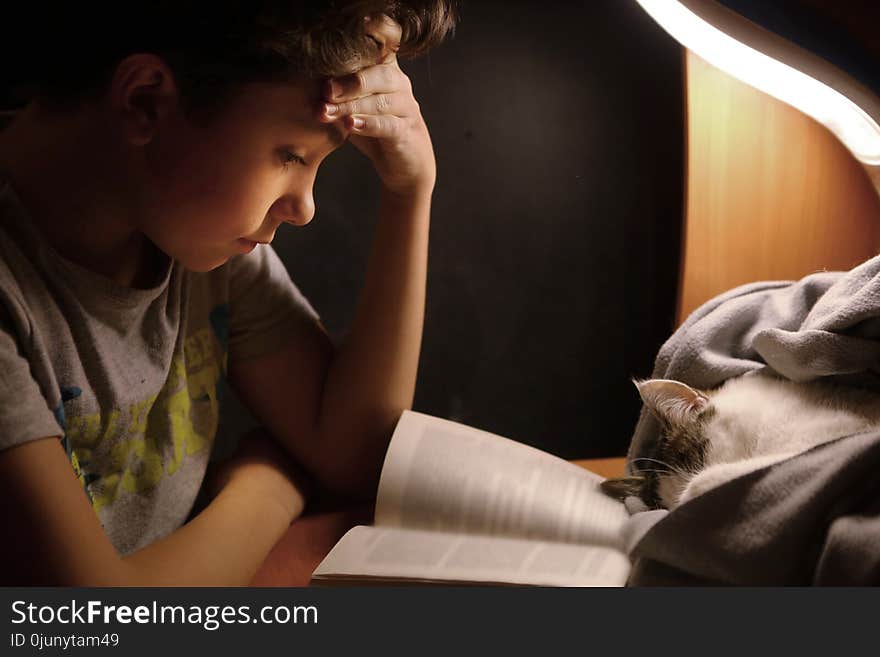 Teenager boy make homework at desk with lamp book and sleeping cat close up photo