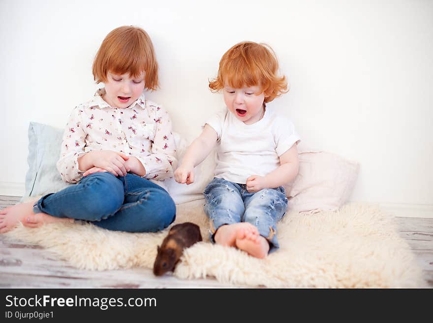 Children playing with guinea pig. Children playing with guinea pig
