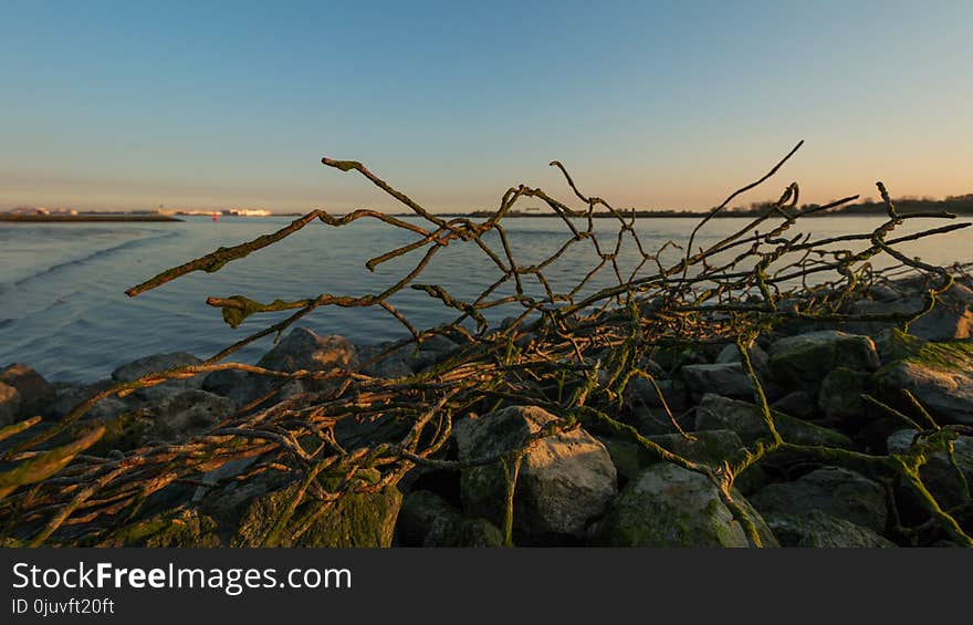 Shore, Sky, Sea, Horizon