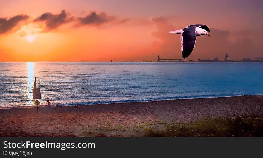 Sea, Sky, Sunrise, Horizon