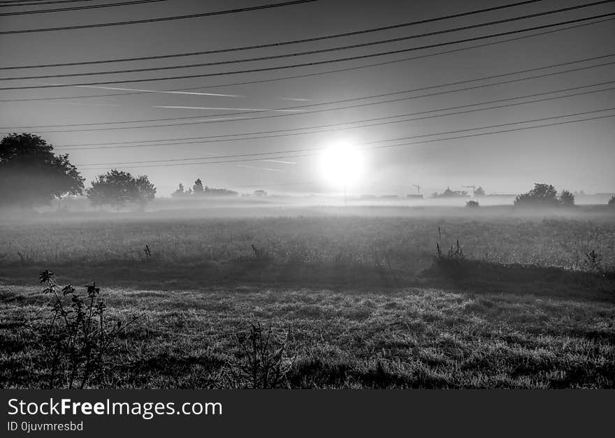 Black And White, Fog, Atmosphere, Mist