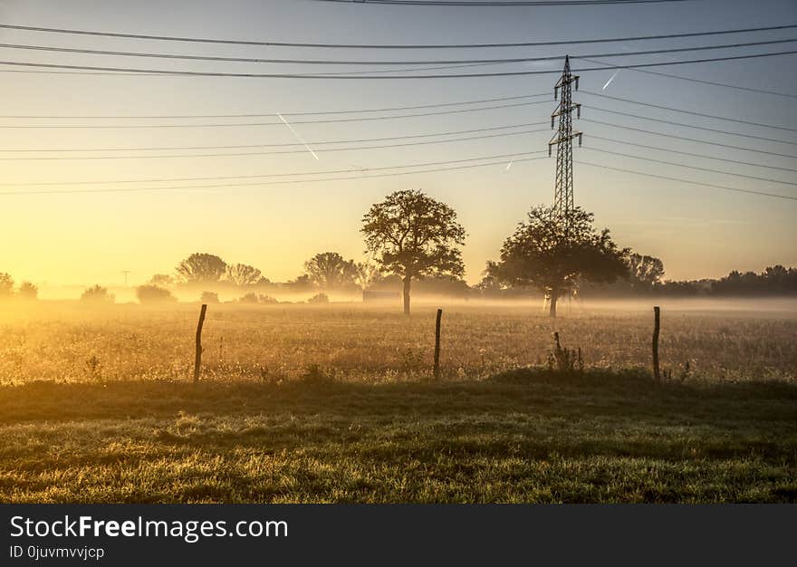 Morning, Field, Sky, Tree