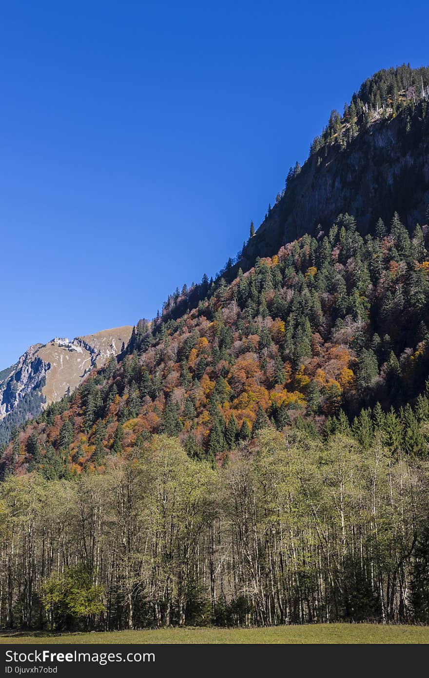 Nature, Leaf, Wilderness, Mountainous Landforms