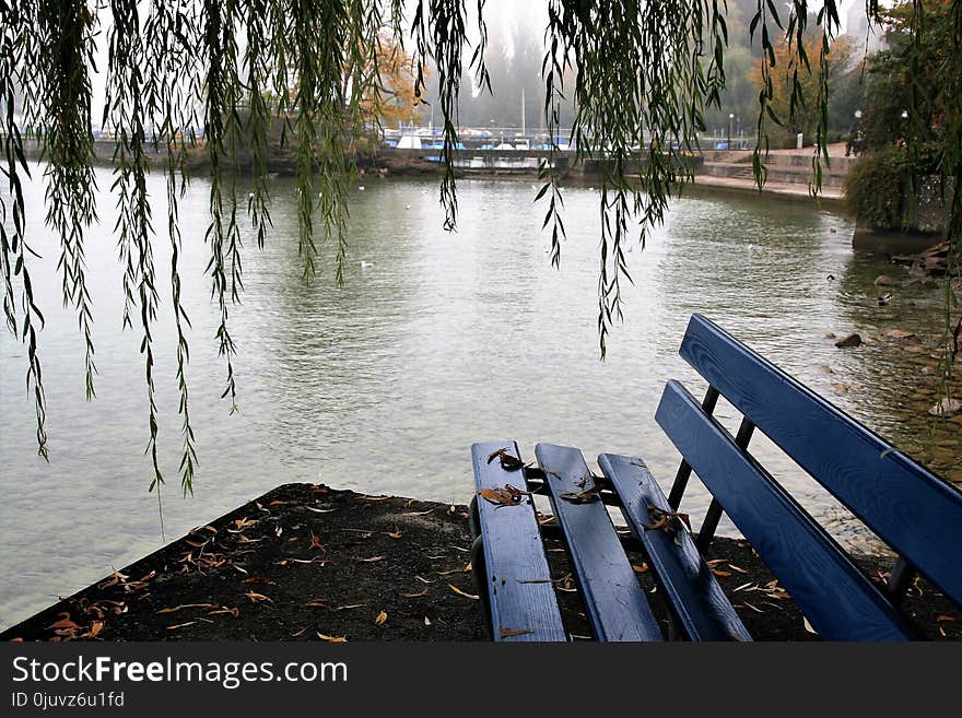 Water, Waterway, Body Of Water, Bayou