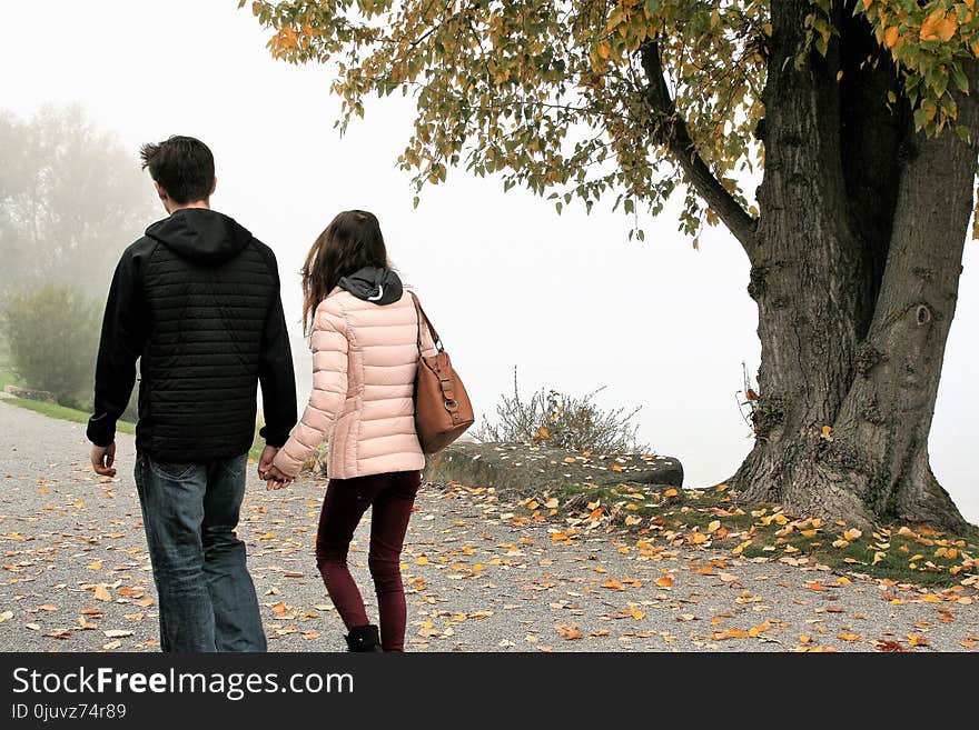 Photograph, Tree, Walking, Girl