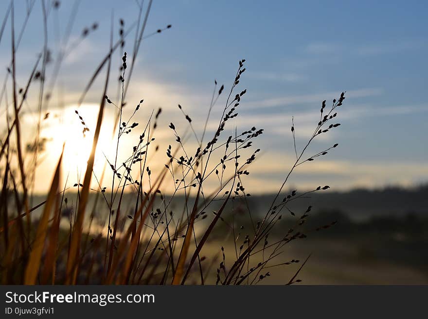 Sky, Water, Morning, Atmosphere