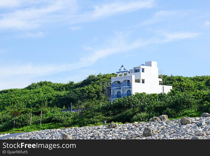 Sky, Promontory, Sea, Tree