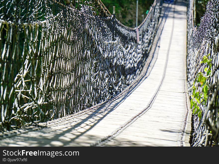 Path, Tree, Inca Rope Bridge, Suspension Bridge