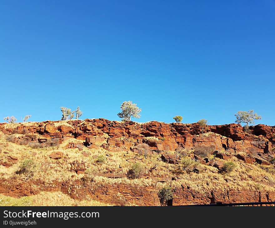 Sky, Ecosystem, Vegetation, Shrubland